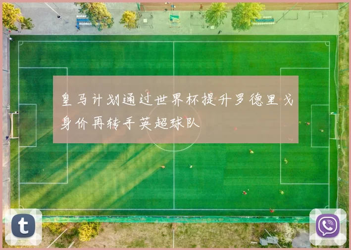 皇马计划通过世界杯提升罗德里戈身价再转手英超球队