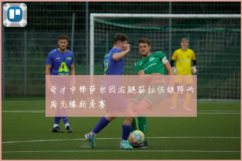 奇才中锋萨尔因右腿筋拉伤缺阵两周无缘新秀赛