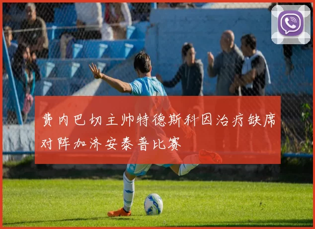费内巴切主帅特德斯科因治疗缺席对阵加济安泰普比赛