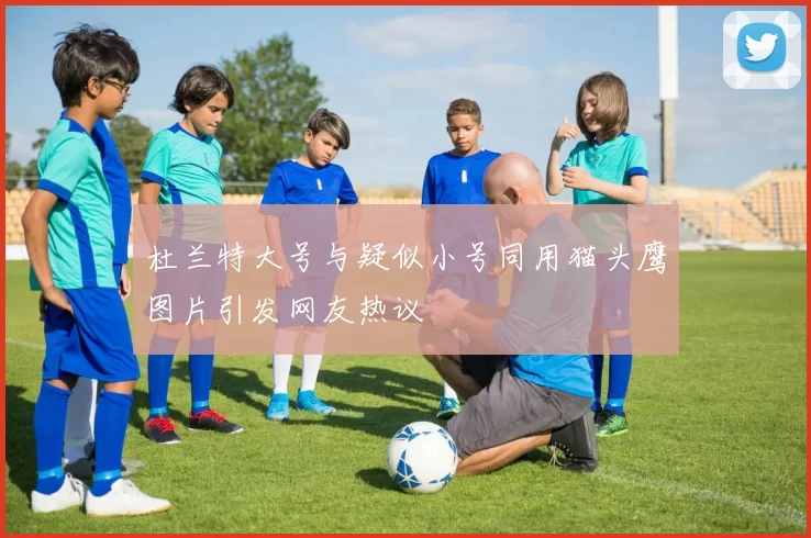 杜兰特大号与疑似小号同用猫头鹰图片引发网友热议